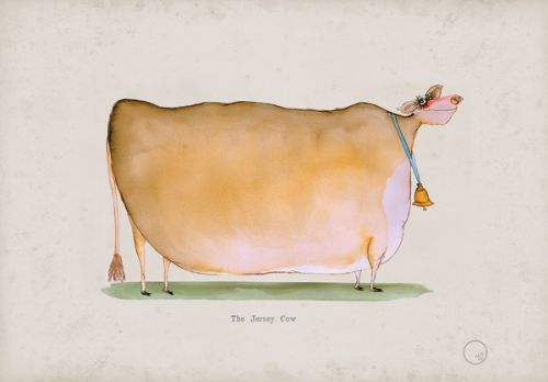 The Jersey Cow, fun heritage art print by Tony Fernandes